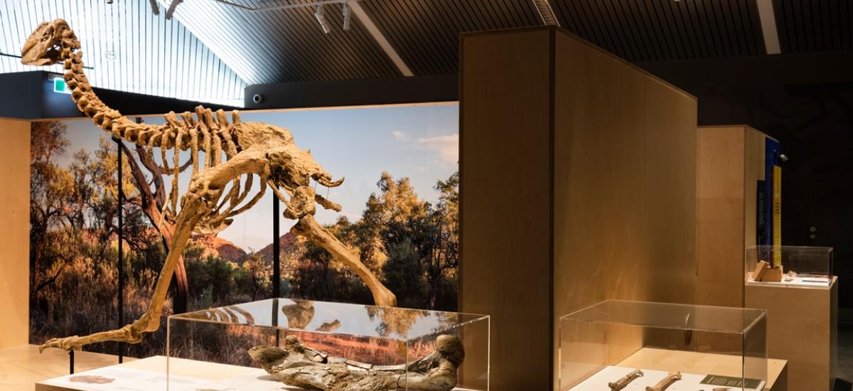 MAGNT Megafauna Central, Museum Fitout Australia