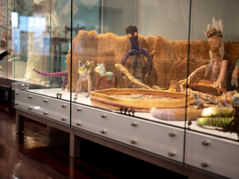 Custom Showcase - Western Australian Museum Boola Bardip – Innovations Gallery 
