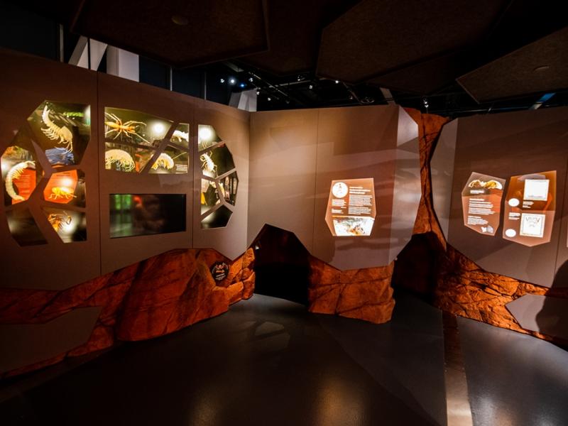Custom Showcase, Western Australian Museum Boola Bardip – Innovations Gallery 