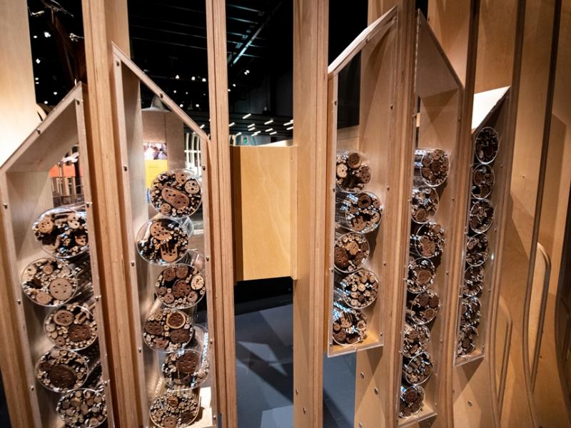 Custom Showcase, Western Australian Museum Boola Bardip – Innovations Gallery